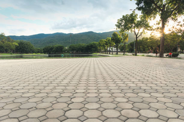 Best Driveway Pavers Near Me  in Roseville, MN